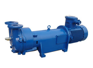 <span class=keywords><strong>Pompe</strong></span> à vide à <span class=keywords><strong>anneau</strong></span> <span class=keywords><strong>liquide</strong></span> monobloc <span class=keywords><strong>SIHI</strong></span> 2BV5111 série 5,5 kW, à roue ouverte, structure en fonte, pour irrigation et agriculture - Product Image 2