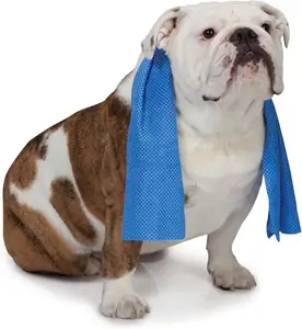 Супервпитывающее полотенце для сушки домашних животных, охлаждающее полотенце для домашних животных, полотенце для ванной и собак