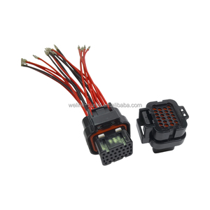 Te Originele Ecu Connector 3-1437290-8 + 3-1447221-4 + Linksunet FLRY-B-0.75 Aangepaste Verwerking Van Auto Kabelboom - Product Image 6