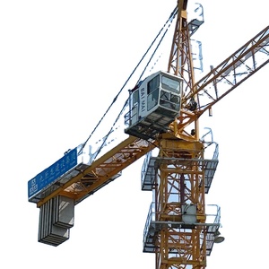 Mini Grúa de Construcción Ajustable de 6 Toneladas de Alta Eficiencia, Grúa Torre Directa de Fábrica - Product Image 1