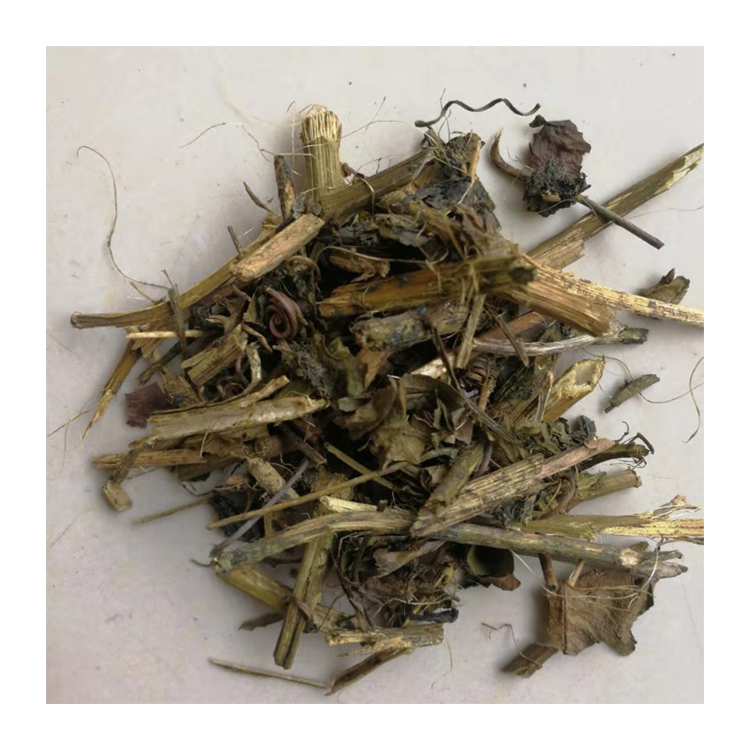 Wholesale Slimming Working Slice Infusion Summer