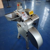 Fabrieksdirecte snijmachine met verstelbare maat voor het snijden van groenten, fruit, vlees en kaas