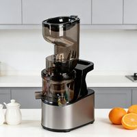 Nieuwe populaire koudgeperste sapmachine, draagbaar, multifunctioneel, voor verse fruit- en groentesappen