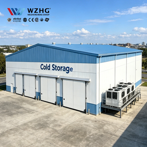 Industrial <b>Refrigeration</b> Warehouse High Efficient Q355b Steel Structure One Stop Service Quick Install Global Trader - Product Image 1