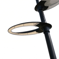 Lampadaire LED de jardin 30W à 100W en aluminium moulé sous pression pour allées extérieures et rues, IP65