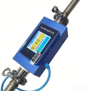 取り外し可能なディスプレイ付き酸素流量計 0-300SLPM ガス/空気流量計 精度2% RS485 ガス発生装置用 - Product Image 3