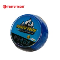 Extincteur automatique portable Tenyu 0,3 kg à poudre sèche avec rapport CE/MSDS, fonctionnement simple, extincteur d'usine
