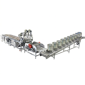Lavadora automática industrial para lavar frutas, lavadora de granadas, lavadora con cepillo de mango - Product Image 1