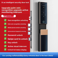 TYSH Acht Talen Video Slimme Deurvergrendeling Palm Biometrische Gezichtsherkenning WiFi 5000mAh Lithium Batterij CNC Slotenfabriek