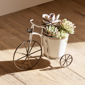 Maceta apenada Vintage de arte del hierro, decoración de jardín al aire libre <span class=keywords><strong>con</strong></span> suculenta de hierro para vasos de vidrio - Product Image 3