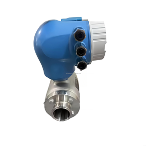 Originale E + H Endress + Hauser misuratore di portata elettromagnetico prolina Promag P300 5 p3b2f 4-20ma sistema di misurazione per misuratore di portata dell'acqua - Product Image 3