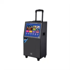 Wifi Karaoke Subwoofer Pa System Portable Outdoor Trolley Blue Tooth Speaker With LCD Screen