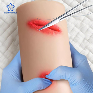 Manichino in Silicone Multifunzionale per Puntura Venosa, Prelievo Sangue e Iniezione - Modello Didattico per Dimostrazioni - Product Image 1