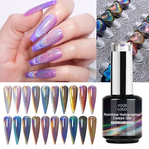 CX Beauty Rainbow Holographic Cat Eye Gel Factory Wholesale UV Gel Polish