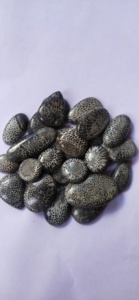 Meilleures pierres précieuses de corail noir fossile naturel, formes variées, certifiées naturelles du Rajasthan pour la fabrication de bijoux, Alba Gems, bon prix - Product Image 4