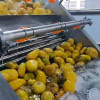 Ligne complète de traitement de la pulpe de jus de mangue : Extracteur de jus, lavage automatique, épluchage, batteur, stérilisateur UHT, remplissage aseptique