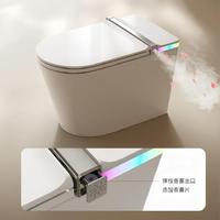 ST11 Vente Chaude Sanitaire WC intelligent électrique en céramique à poser au sol pour salle de bain