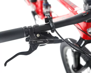 Twitter foresta SX-12 velocità piena sospensione 29 ''bicicletta da <span class=keywords><strong>montagna</strong></span> in carbonio - Product Image 3