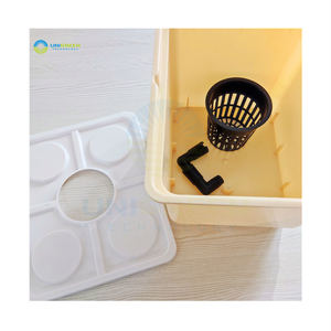 ถังดัตช์ Bato ระบบปลูกฟักทองมะเขือเทศแบบไฮโดรโปนิกส์สำหรับระบบไฮโดรโปนิกส์เพื่อการค้า - Product Image 3