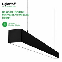 Luminaire linéaire LED encastré, profil en aluminium noir, lampe linéaire intégrée, indice de protection IP54, dimmable, garantie 5 ans, pour l'éclairage de bureau