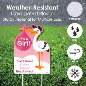Personalized Yard Signs <b>Custom</b> Design Waterproof UV Resistant Fade Proof for Outdoor Baby Shower Lawn Garden Party Decorations - Product Image 6