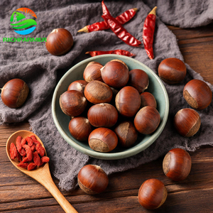 <span class=keywords><strong>Nueces</strong></span> de Castaño Crudas Naturales Frescas de China, Cosecha 2026, a Granel, en Venta - Product Image 2