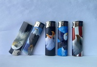 Briquet en plastique à bas prix en gros, 5 couleurs, avec motifs design