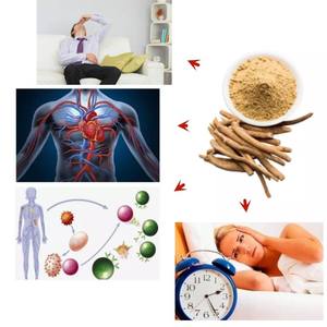 OEM aladdin Ashwagandha Capsules Bon Sommeil Complément Alimentaire pour Adultes 2 Capsules Par Jour 60 Capsules/Bouteille Pas pour Adolescents - Product Image 2