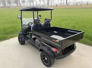 Carro de carga para golf, carro de carga tipo pickup, buggy eléctrico, carro de transporte eléctrico, mini camión eléctrico, utilitario de transporte para caminos no públicos - Product Image 5