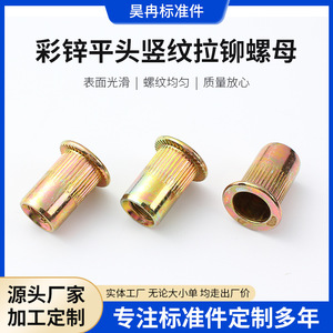 Tuerca Remachable Vertical de Cabeza Plana Haoran M3 M4 M5 M6 M8 M10 M12 18mm, Acero Q235, Zincado de Color - Product Image 4