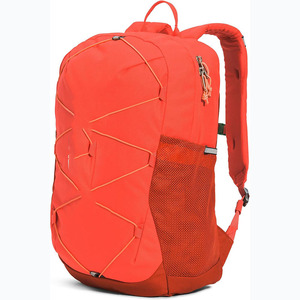 TNF Marque Logo Personnalisé Multi-fonction Grande Capacité Sac à Dos de Sport Sac de Fitness Voyage d'Affaires Sac de Voyage avec Rangement de Chaussures - Product Image 1