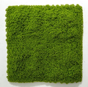 <strong>Flower</strong> Wall Grid Plant Panel Hanging Jungle Green <strong>Artificial</strong> Plant Panel Large <strong>Trellis</strong> on Wall for Climbing Plants Outdoor - Product Image 4