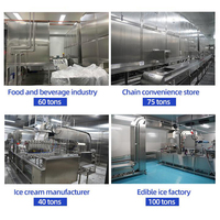 Machine à glace industrielle comestible en cubes 10T 15T 20T 30T pour usine de glace en sacs et de coupelles de glace, certifiée CE ISO