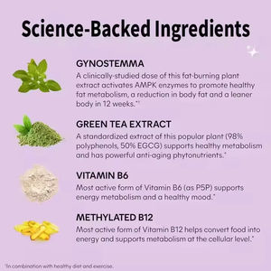Meilleur supplément de perte de poids à base de plantes-Capsules brûle-graisses pour la graisse du <span class=keywords><strong>ventre</strong></span>-3 ans de durée de conservation pilules amincissantes - Product Image 2