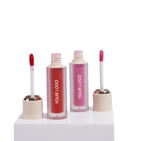 Blush liquide vegan imperméable à l'eau à haute teneur en pigments fard à joues liquide de marque privée