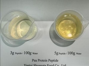 Poudre <span class=keywords><strong>de</strong></span> <span class=keywords><strong>Peptide</strong></span> <span class=keywords><strong>de</strong></span> <span class=keywords><strong>pois</strong></span> hydrolysée, prix <span class=keywords><strong>de</strong></span> gros, <span class=keywords><strong>Peptide</strong></span> <span class=keywords><strong>de</strong></span> protéine <span class=keywords><strong>de</strong></span> <span class=keywords><strong>pois</strong></span> 100% Soluble dans l'eau - Product Image 3