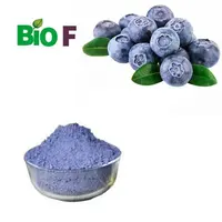 Freeze Dried Acai Berry Powder High Quality Acai Powder For Sale