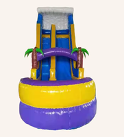 Castillo Inflable de PVC de 4x6 Metros, Personalizable, de Fácil Instalación, con Tobogán, Capacidad para 25 Personas, para Exteriores, Distribución Directa de Fábrica