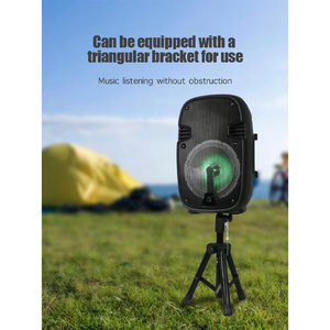 Haut-parleur portable Bluetooth avec microphone filaire, résistant aux rayures, TF FM TWS <span class=keywords><strong>LINEIN</strong></span> U Disk, pour karaoké en extérieur - Product Image 4