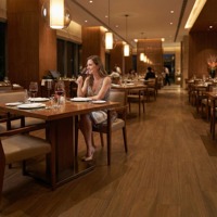 Plancher R10 antidérapant en noyer foncé - Plancher multicouche à lames individuelles antibactérien pour restaurants, salles à manger et parcs extérieurs