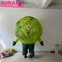 Costume gonflable de chou pour adulte, costume gonflable à thème végétal pour spectacle de scène de fête