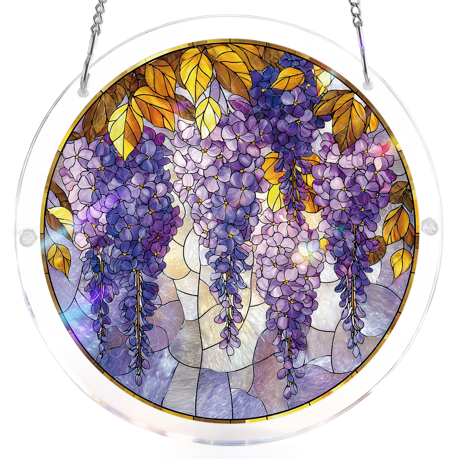 Fleurs de glycine