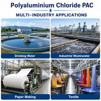 Chlorure de polyaluminium PAC, poudre coagulante pour le traitement de l'eau à haute teneur en Al2O3