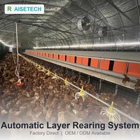 Nuevo Sistema Automático de Cría de Aves de Corral en Suelo con Material PP |   Equipo Completo para Cría en Sistema Flat para Granjas de Pollos de Engorde y Ponedoras
