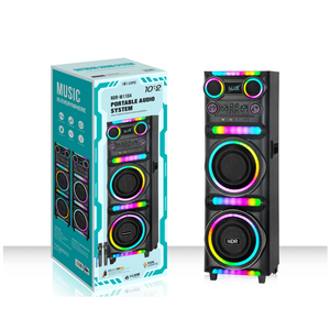 NDR-M1104 Enceinte de fête professionnelle en bois double 10 pouces pour DJ extérieur, karaoké, subwoofer à basses profondes avec micro sans fil - Product Image 1