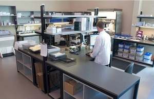 Maus-Häm-Oxygen ase 2,HO-2 ELISA Kit - Product Image 5