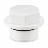 Bouchon de tuyau en plastique PPR 1/2" 3/4" à filetage BSP mâle, embout hexagonal avec joint torique en caoutchouc PN25 pour raccords de conduites d'eau