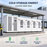 Système de stockage d'énergie par batterie commercial personnalisé de 1 MWh pour les hôtels et les projets solaires des stations balnéaires