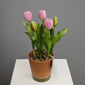 Fleur de tulipe artificielle de style coréen, pot en plastique, décoration extérieure et intérieure, accessoire de photographie, best-seller - Product Image 3
