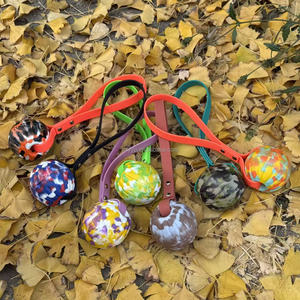 Palla per cani in EVA 2026 di tendenza con corda in PVC liscia, giocattolo interattivo ecologico da masticare per l'allenamento quotidiano all'aperto - Product Image 1